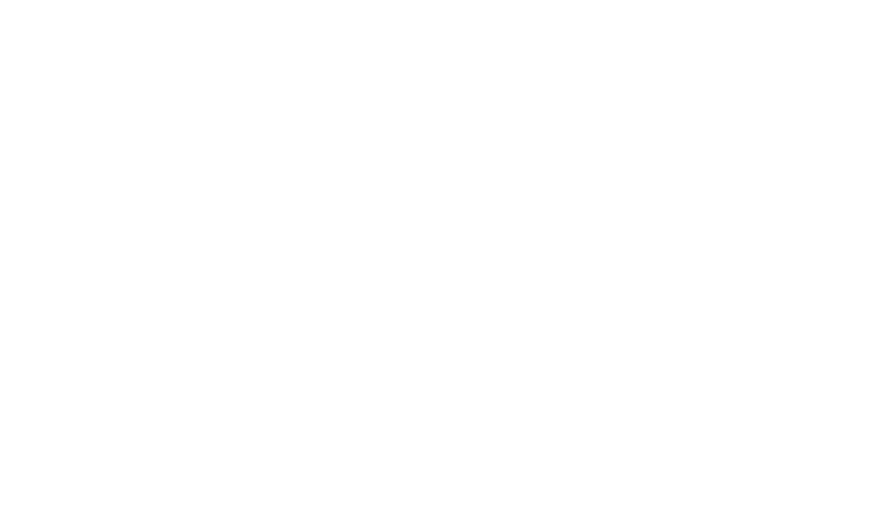 adidas — Reversed logo